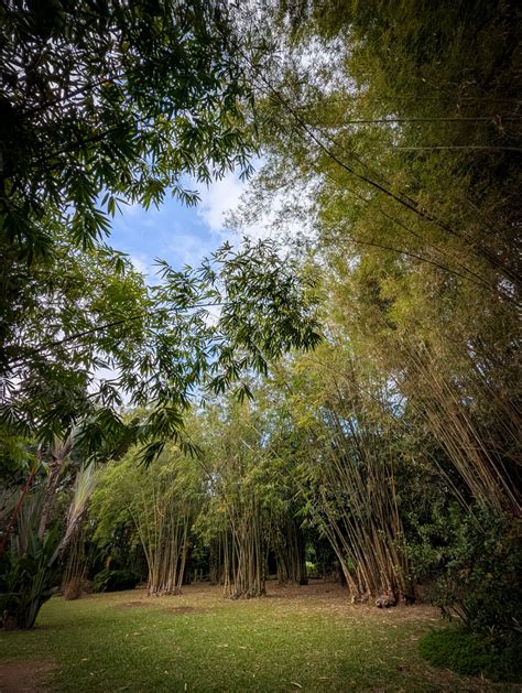 liyang pilar bataan|Jardin Liyang, Bataan .